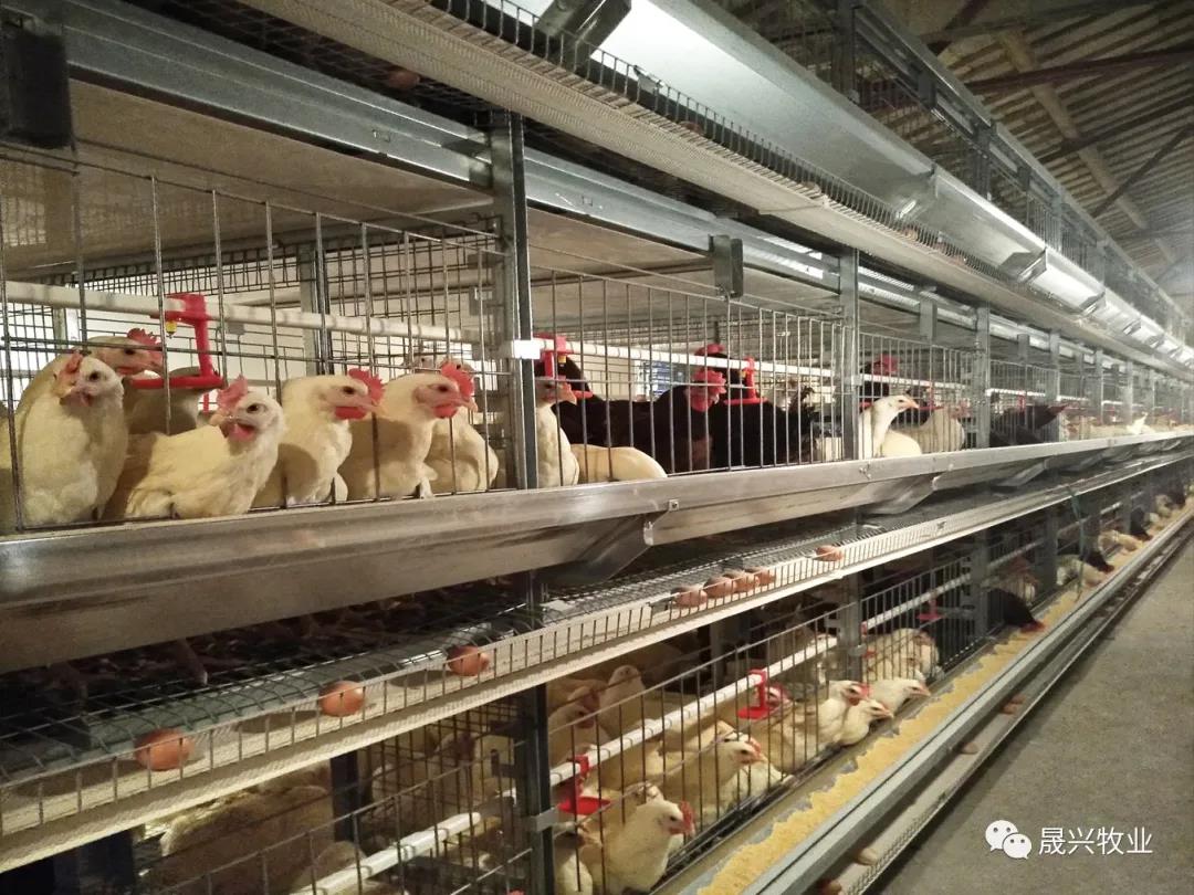 ÐÓ²ÊÌåÓý¡¤(ÖйúÓÎ)¹Ù·½ÍøÕ¾