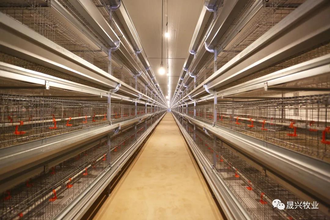 ÐÓ²ÊÌåÓý¡¤(ÖйúÓÎ)¹Ù·½ÍøÕ¾