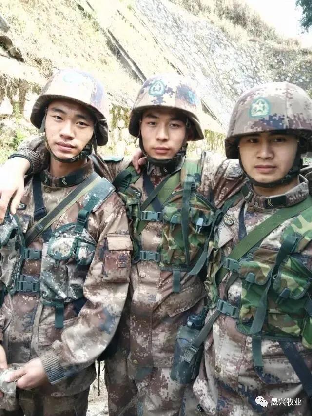 �Ӳ�������(�й���)�ٷ���վ