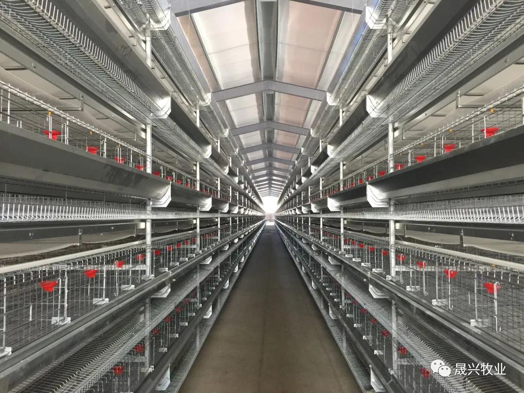 ÐÓ²ÊÌåÓý¡¤(ÖйúÓÎ)¹Ù·½ÍøÕ¾