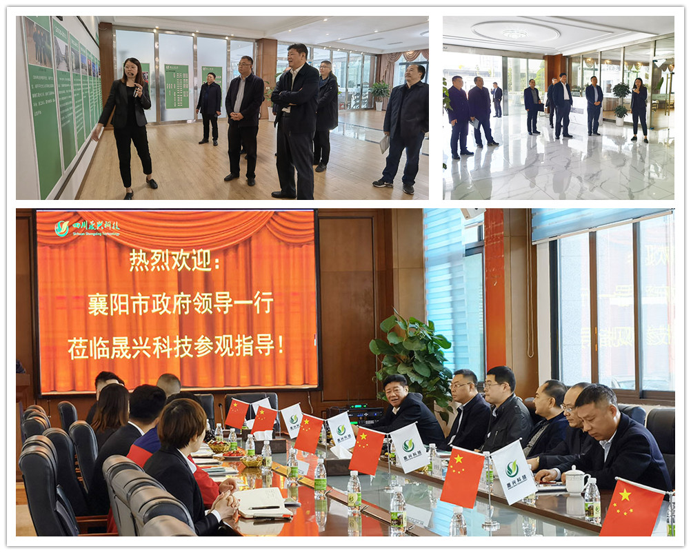 ÐÓ²ÊÌåÓý¼¯ÍÅ ÐÓ²ÊÌåÓý¼¯ÍÅ