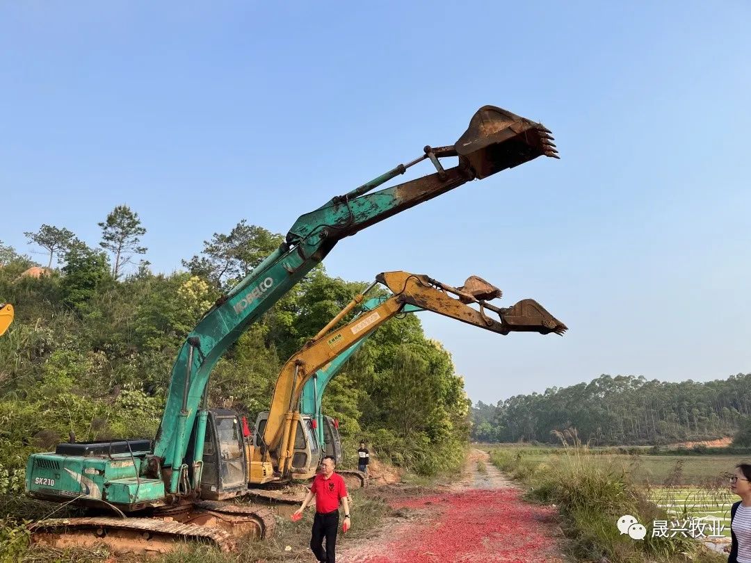 �Ӳ���������