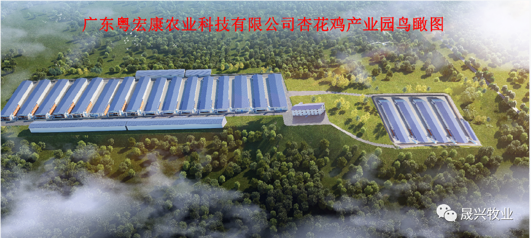 �Ӳ���������