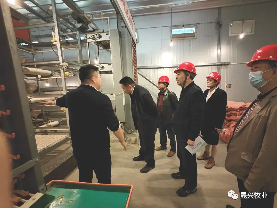 �Ӳ�������(�й���)�ٷ���վ