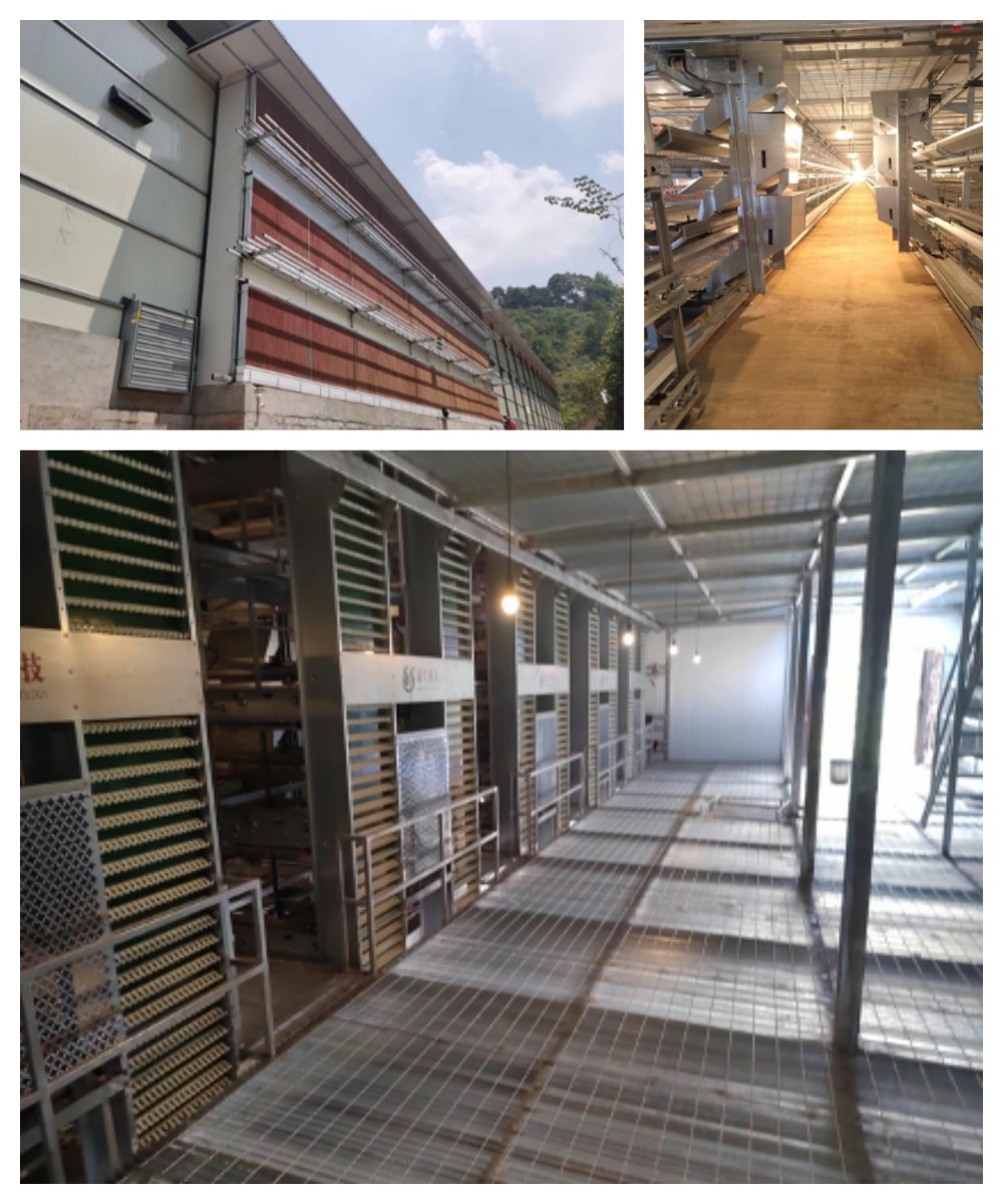 ÐÓ²ÊÌåÓý¡¤(ÖйúÓÎ)¹Ù·½ÍøÕ¾