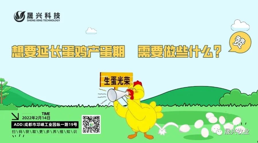 Ñø¼¦×°±¸ Ñø¼¦×°±¸