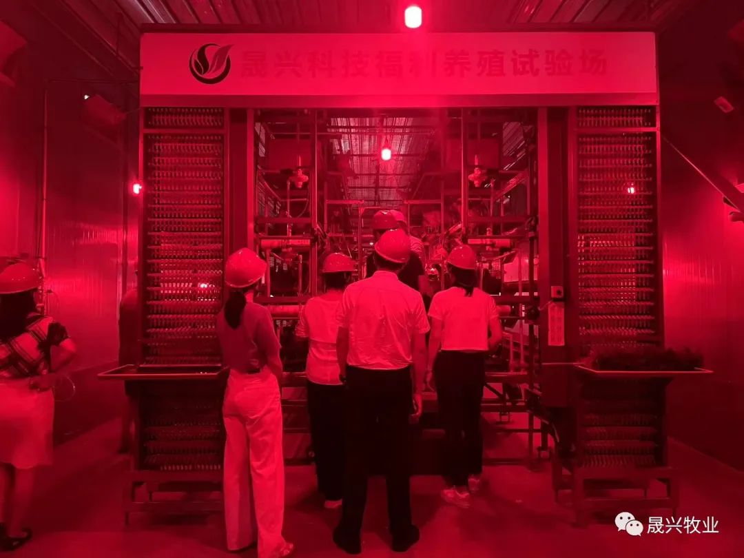 ����װ��