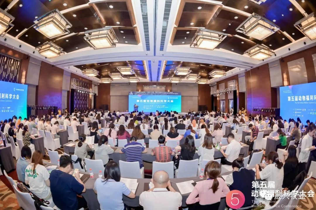 Ñø¼¦×°±¸ Ñø¼¦×°±¸