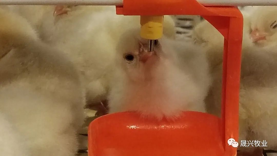 Ñø¼¦×°±¸ Ñø¼¦×°±¸