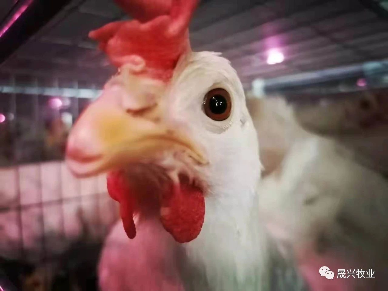 ���ܻ�����װ��