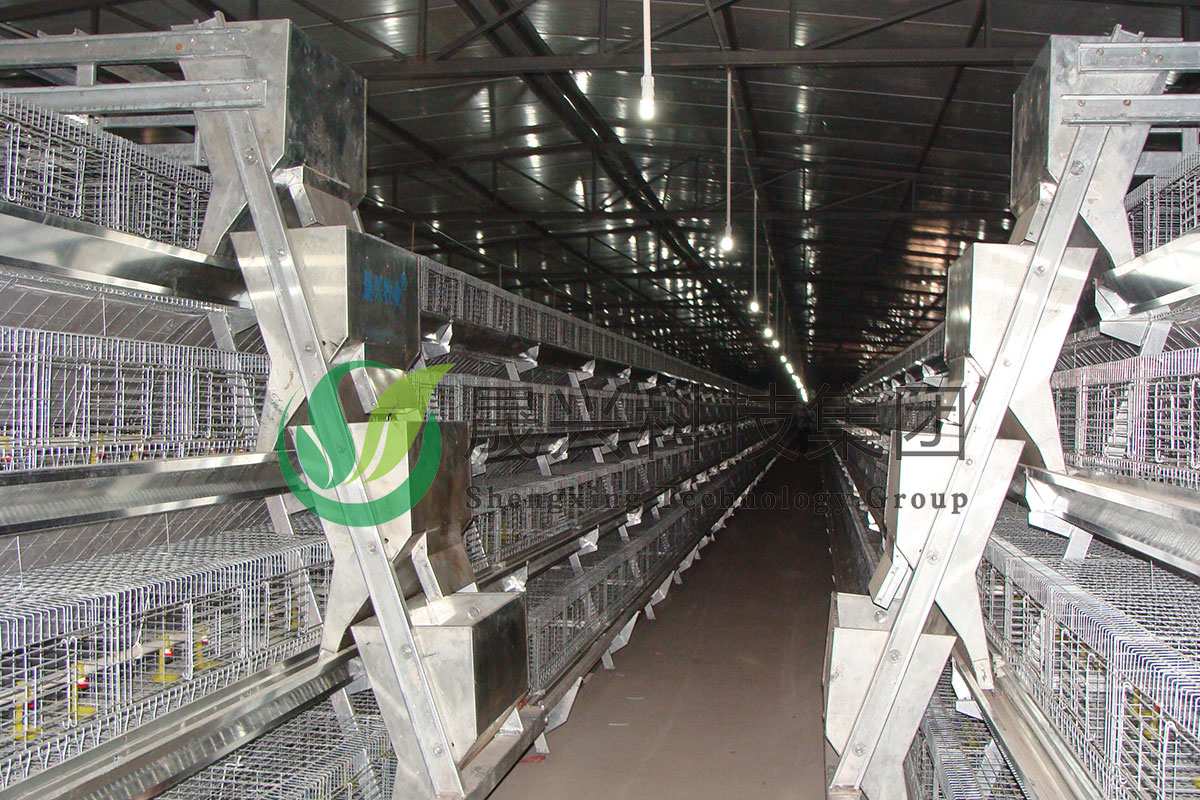 ���꼦��ֳװ��