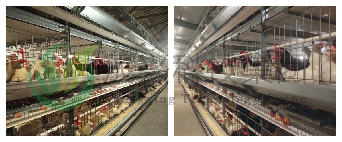 ����װ��