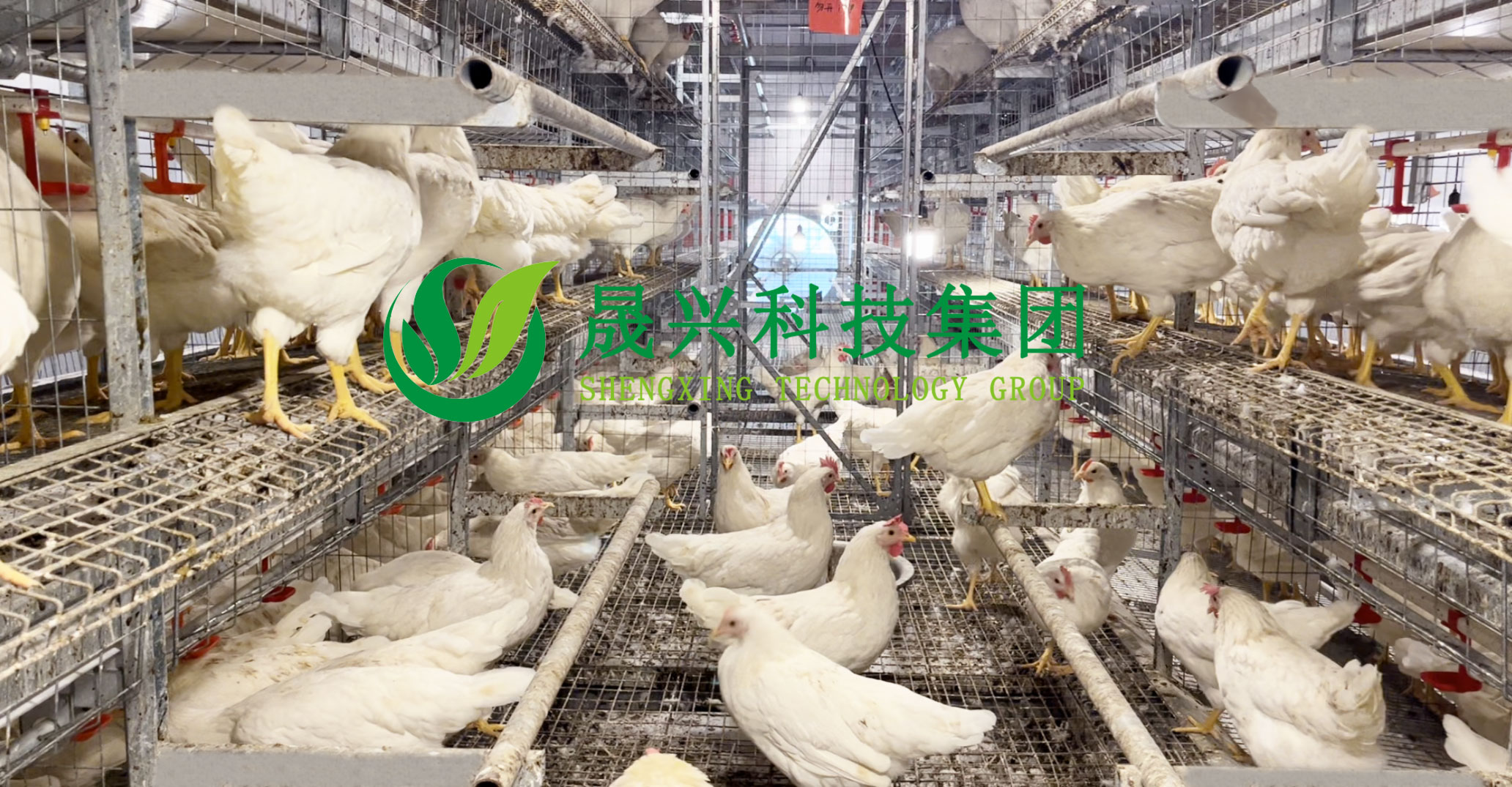 �Ӳ�������(�й���)�ٷ���վ