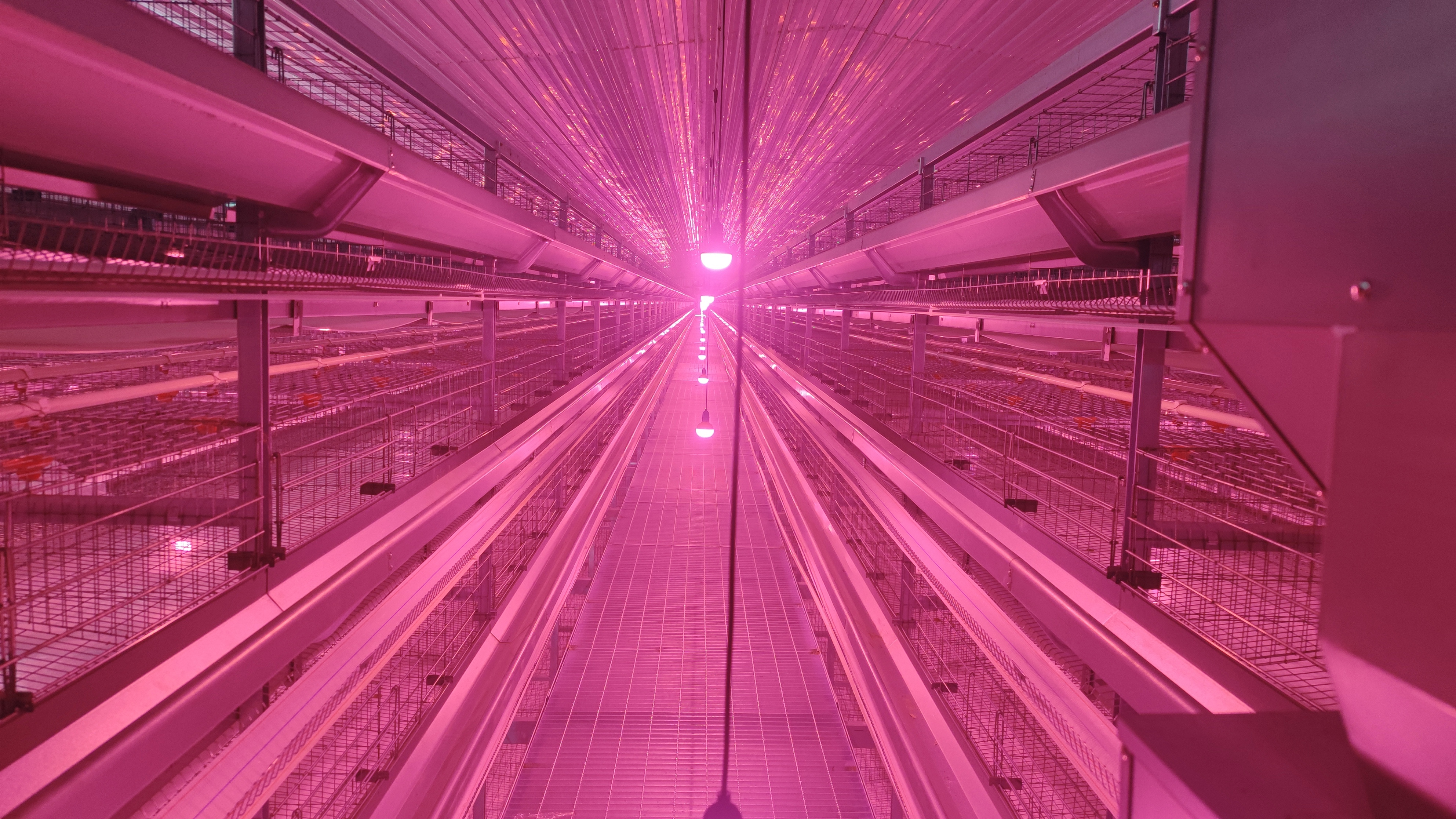 �Ӳ�������(�й���)�ٷ���վ