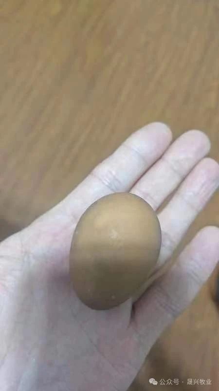 �Ӳ�������(�й���)�ٷ���վ