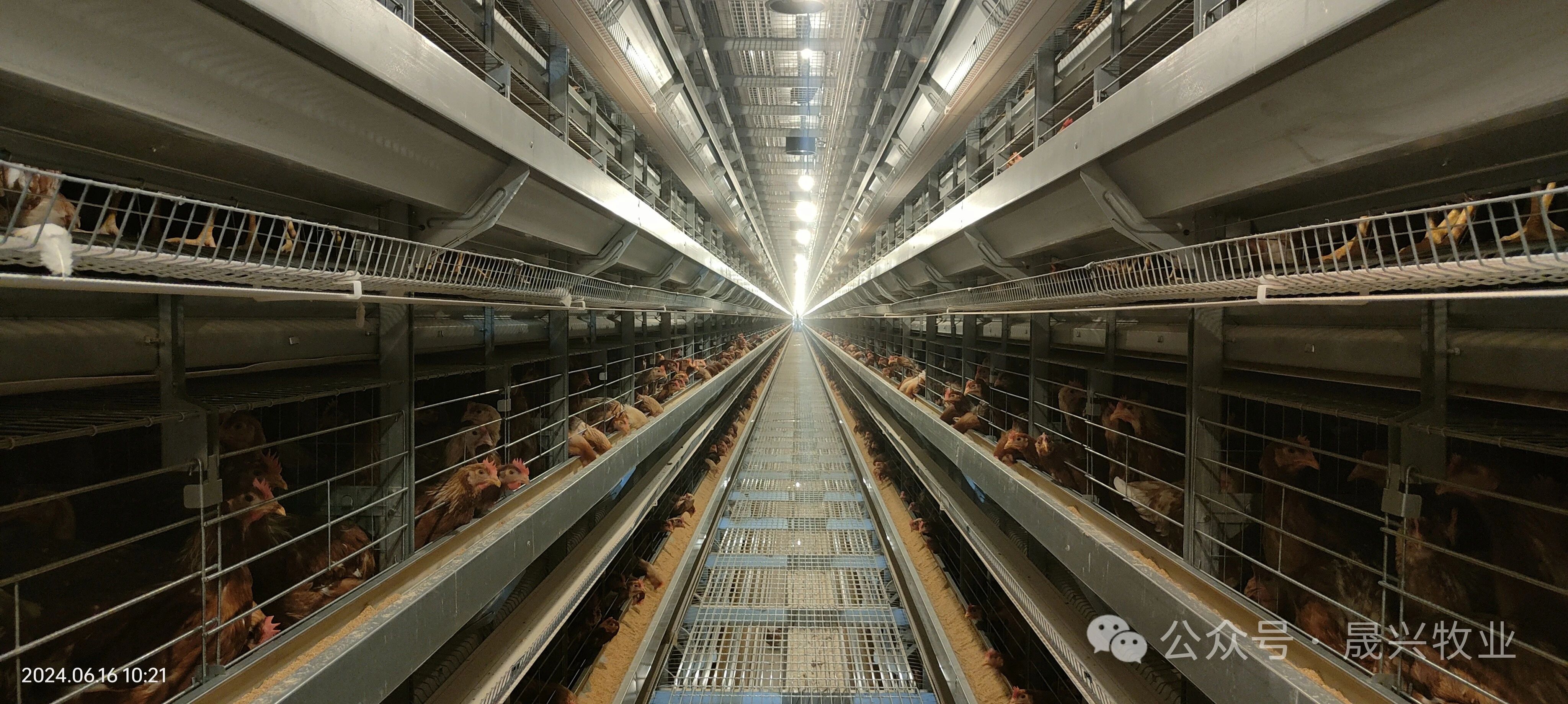 ����װ��