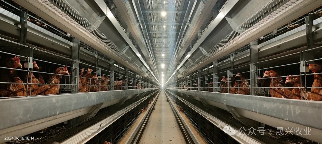 ����װ��