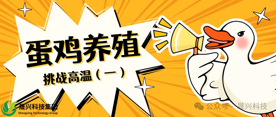 ÐÓ²ÊÌåÓý¡¤(ÖйúÓÎ)¹Ù·½ÍøÕ¾