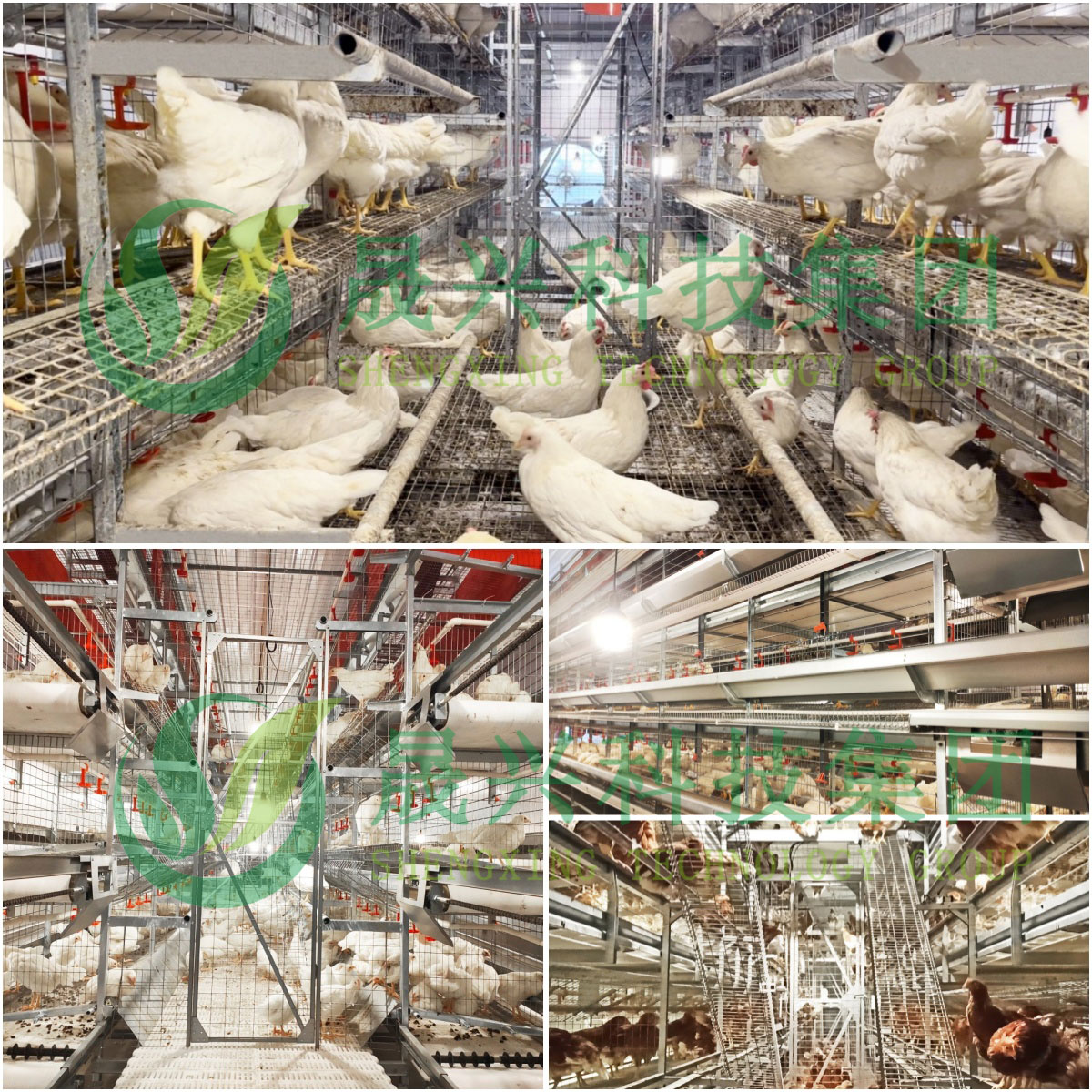 ÐÓ²ÊÌåÓý¡¤(ÖйúÓÎ)¹Ù·½ÍøÕ¾