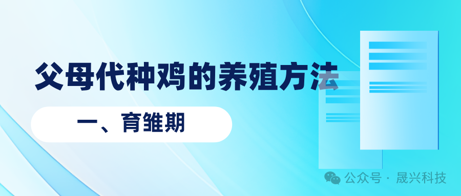 Ñø¼¦×°±¸ Ñø¼¦×°±¸