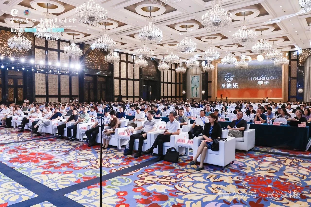 Ñø¼¦×°±¸ Ñø¼¦×°±¸