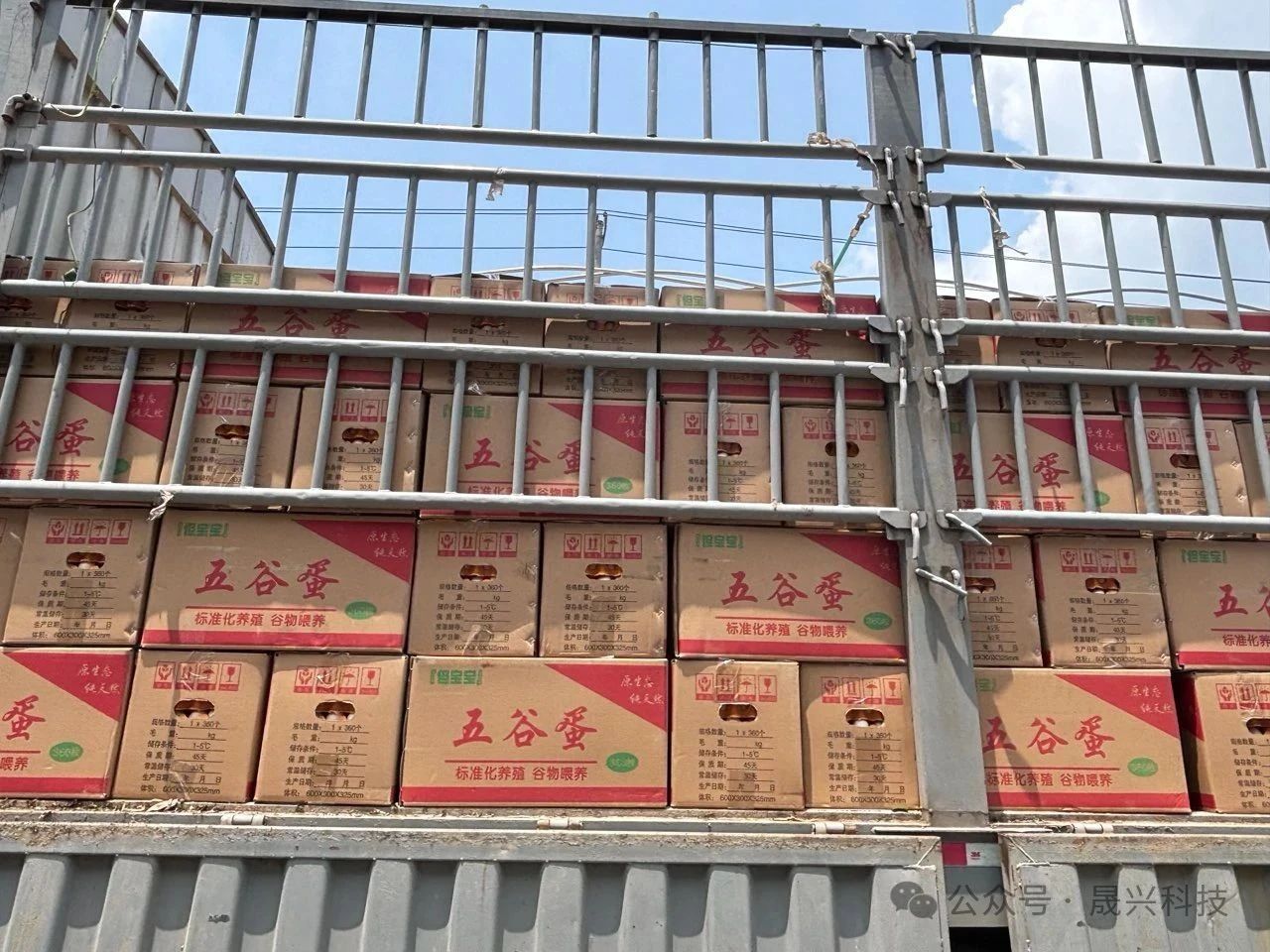 Ñø¼¦×°±¸ Ñø¼¦×°±¸