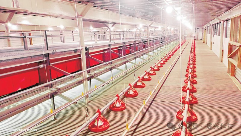 Ñø¼¦×°±¸ Ñø¼¦×°±¸