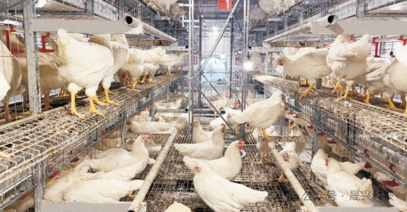 Ñø¼¦×°±¸ Ñø¼¦×°±¸