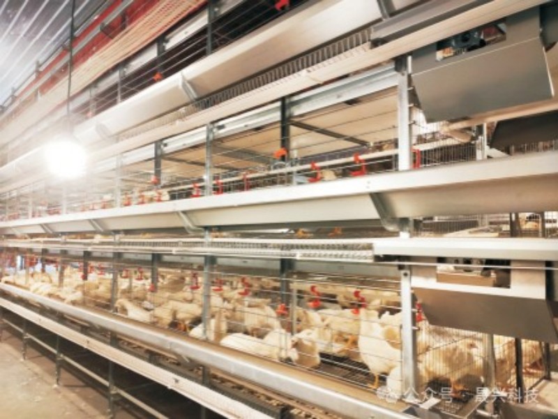 Ñø¼¦×°±¸ Ñø¼¦×°±¸