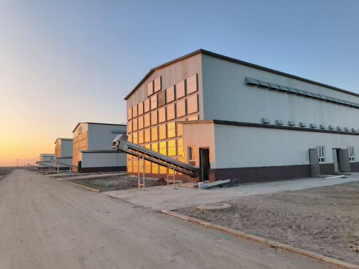 Ñø¼¦×°±¸ Ñø¼¦×°±¸